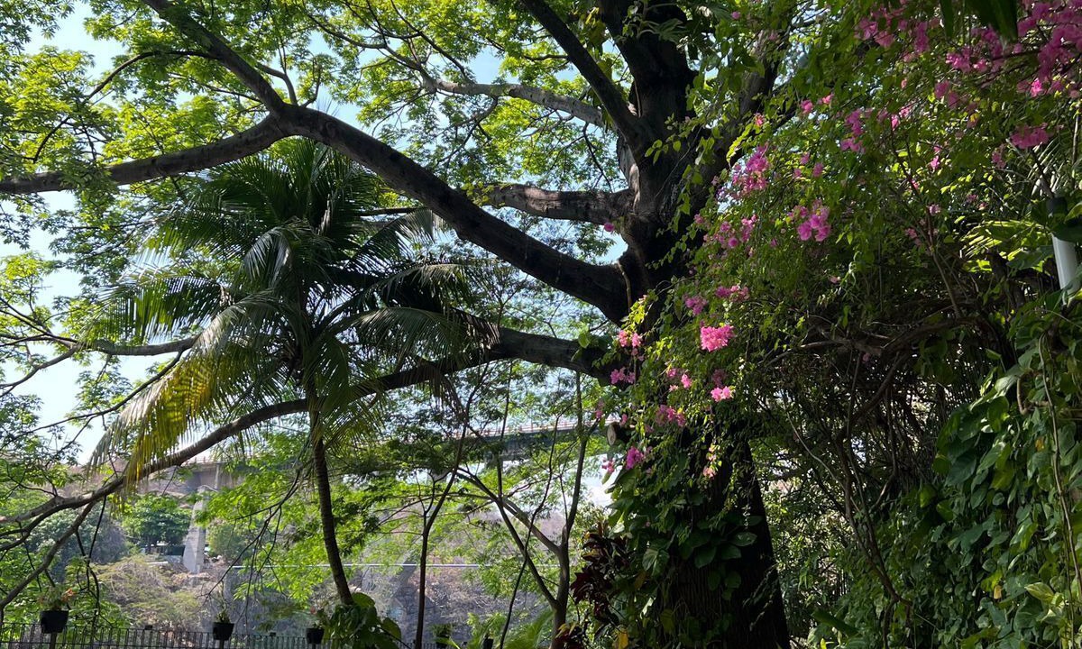 Photo of Outdoor in Chiapa De Corzo