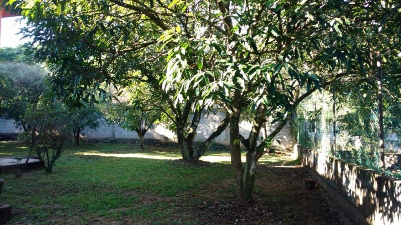Photo of Outdoor in Tamasopo