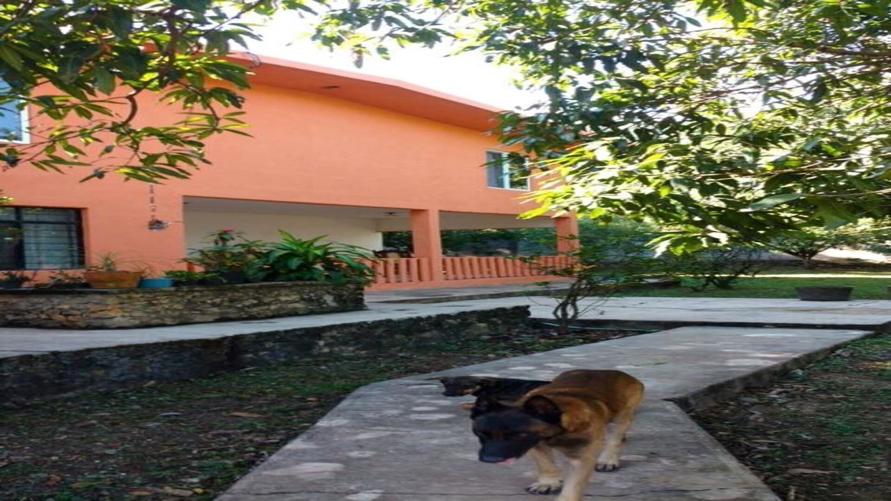 Photo of Outdoor in Tamasopo