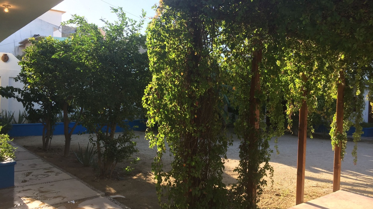 Photo of Outdoor in Jimenez