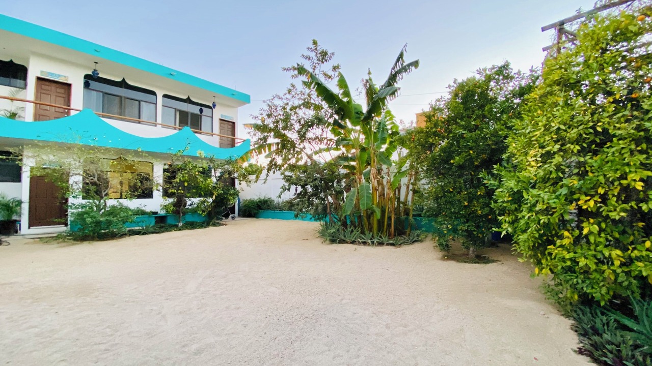 Photo of Outdoor in Jimenez