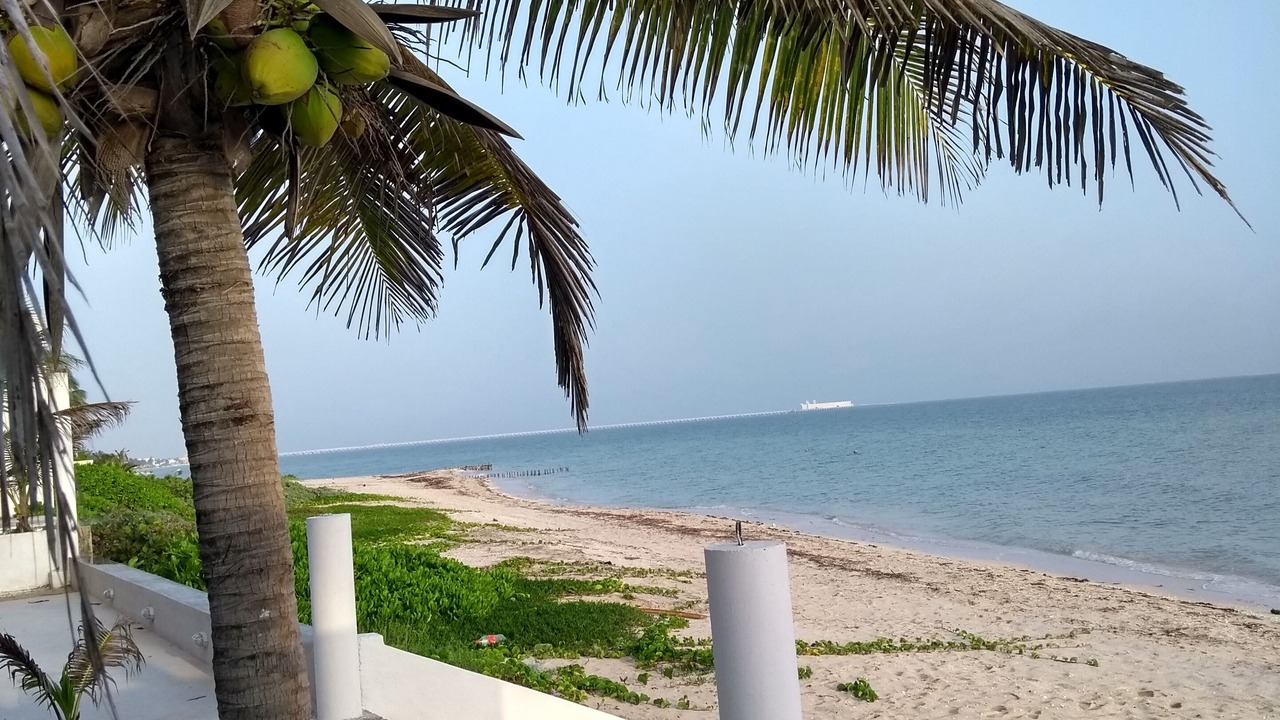 Photo of Others in Progreso Municipality
