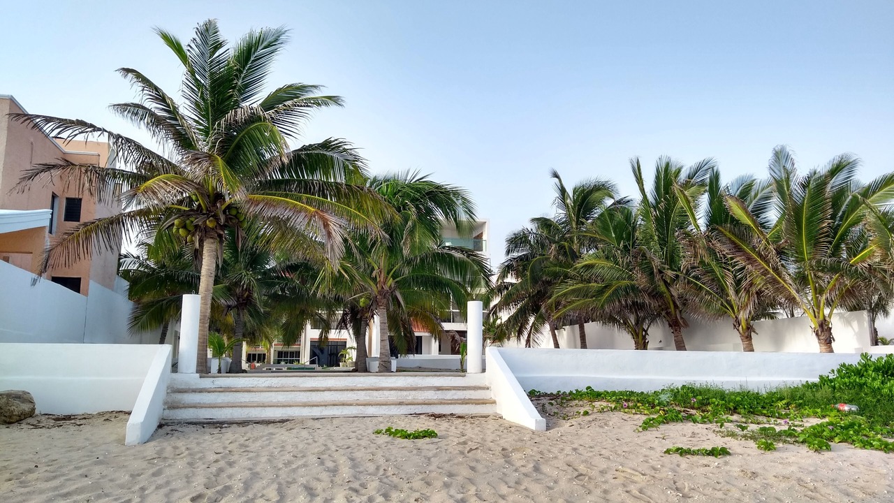 Photo of Outdoor in Progreso Municipality