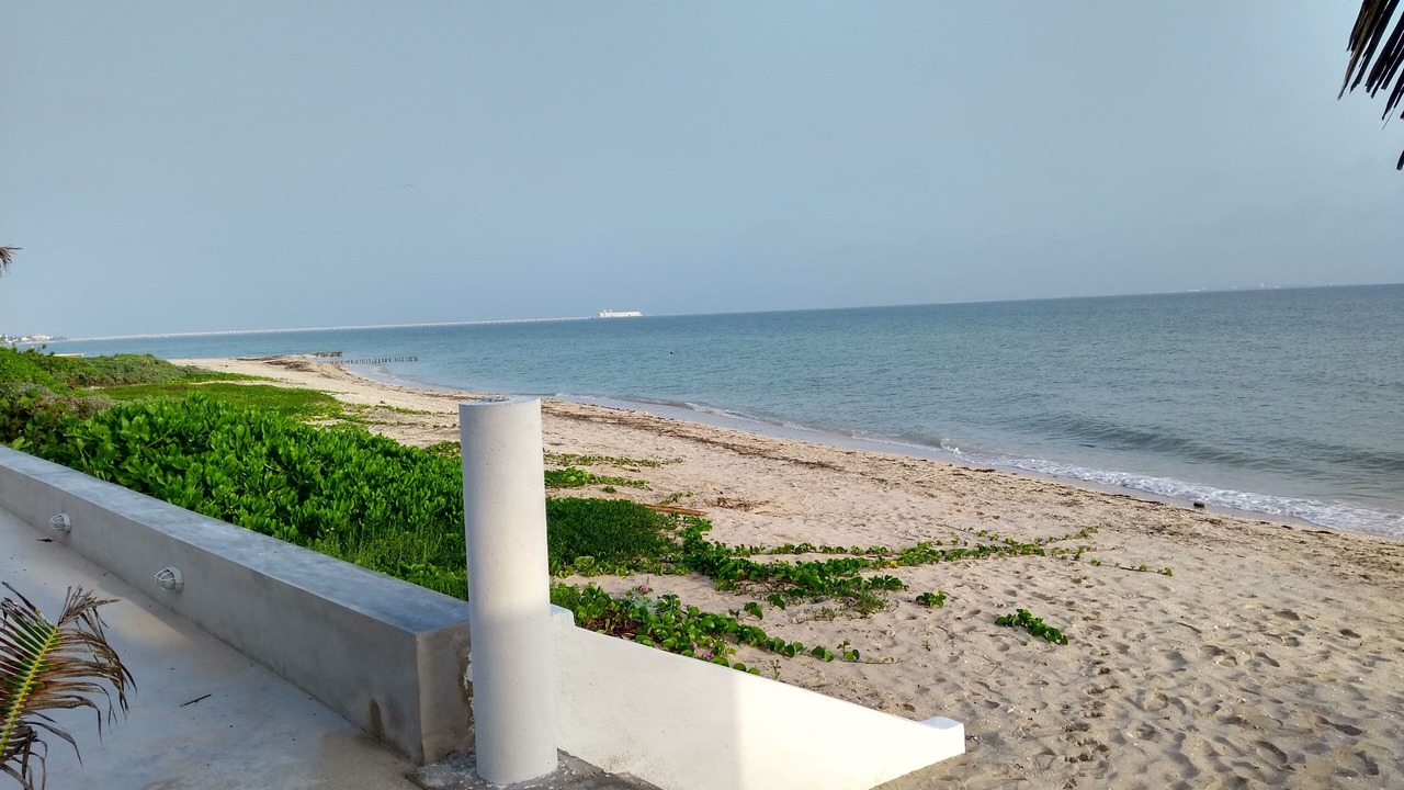 Photo of Others in Progreso Municipality