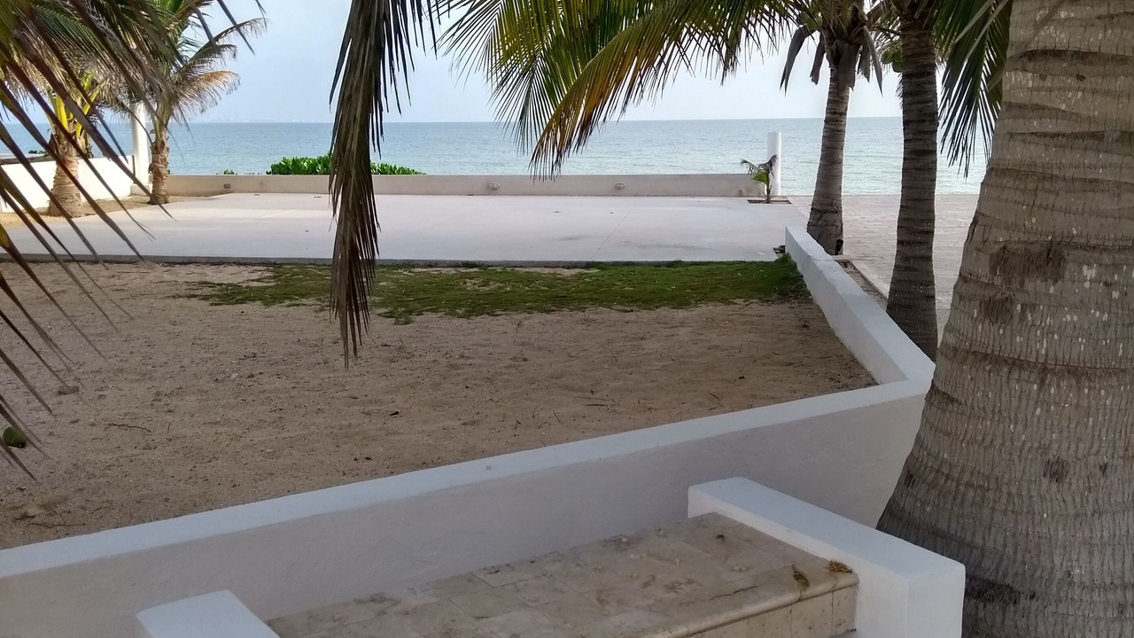 Photo of Outdoor in Progreso Municipality