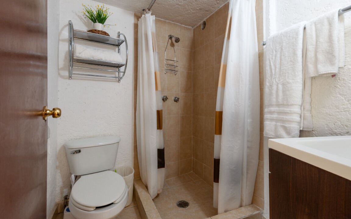 Photo of Bathroom in Coyoacan