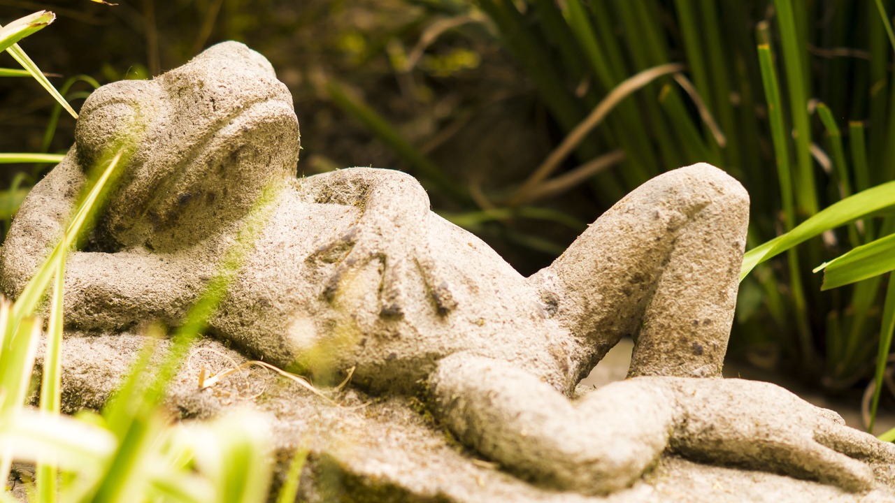 Photo of Outdoor in Coyoacan