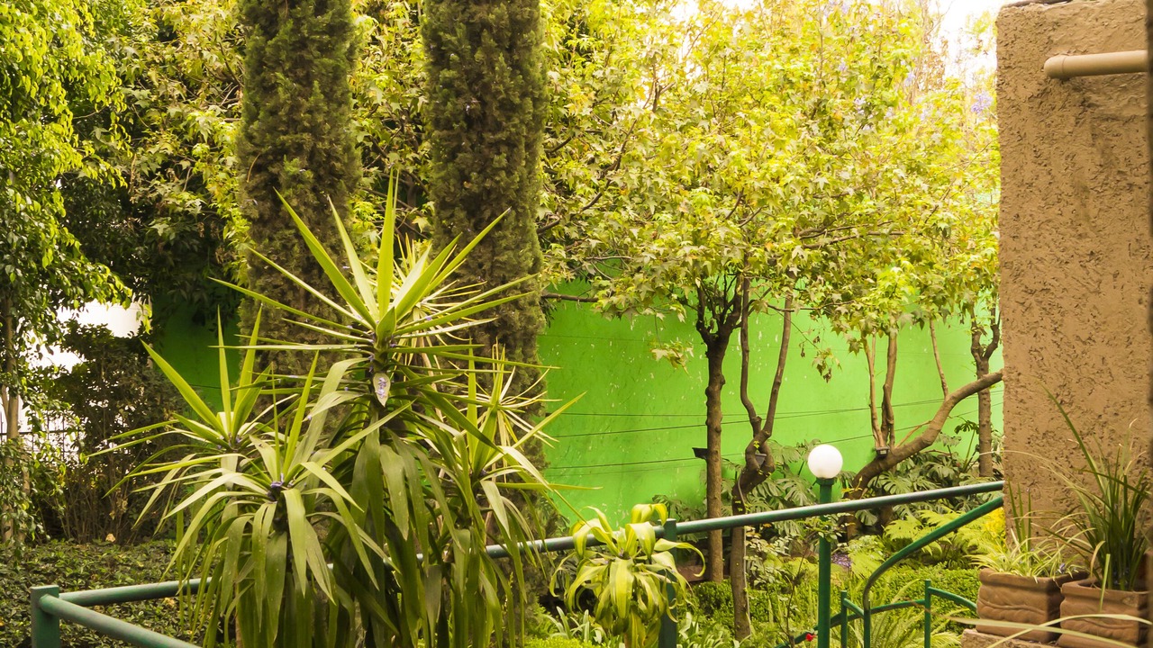 Photo of Outdoor in Guadalupe Inn