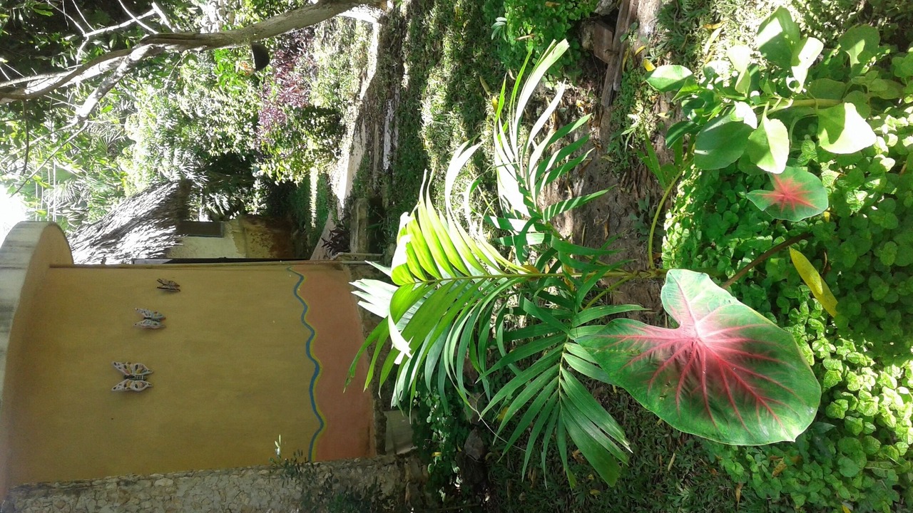 Photo of Outdoor in Tekanto