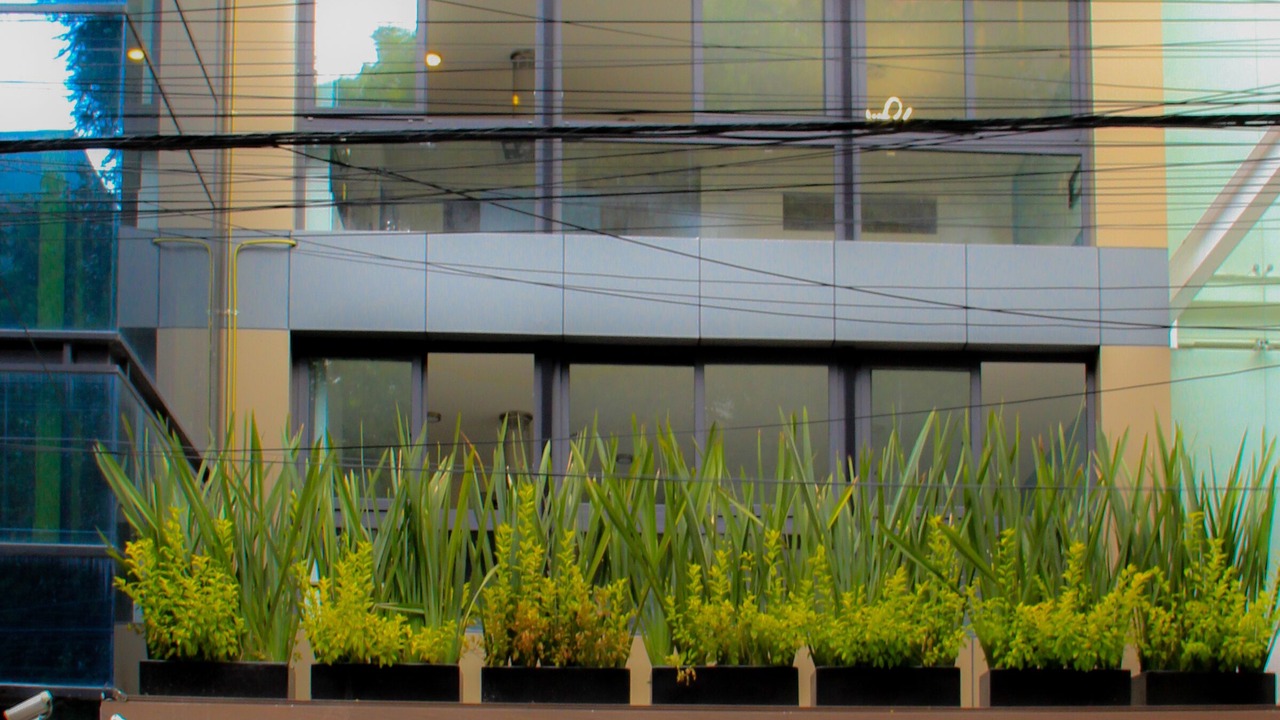 Photo of Outdoor in Historic Center