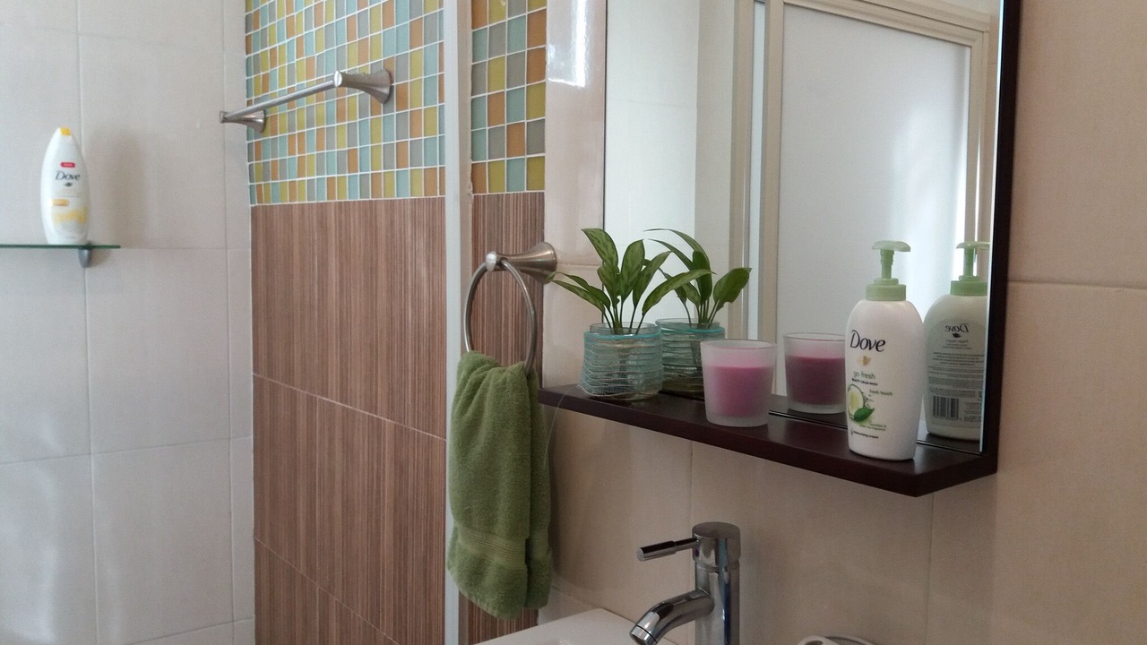 Photo of Bathroom in Acapulco