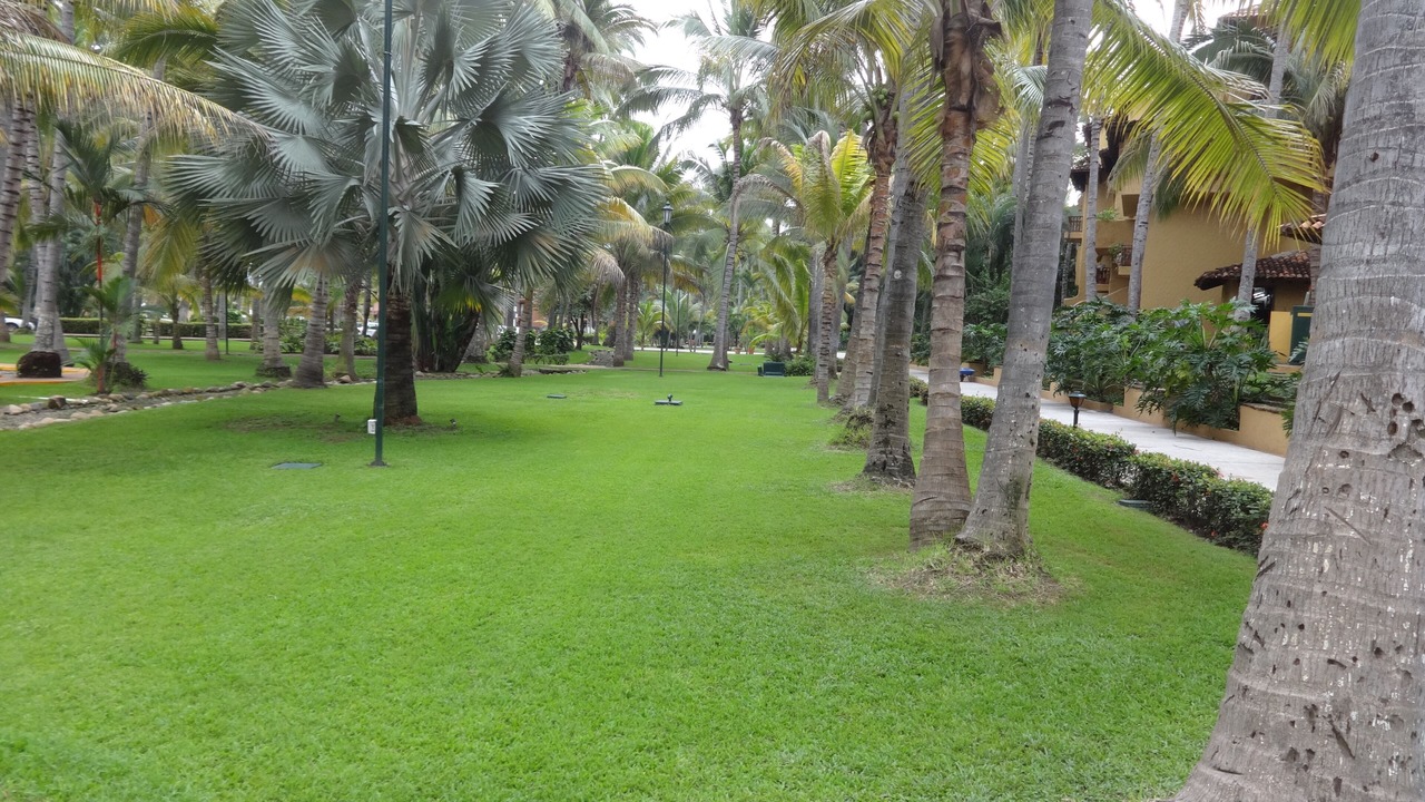 Photo of Others in South Hotel Zone