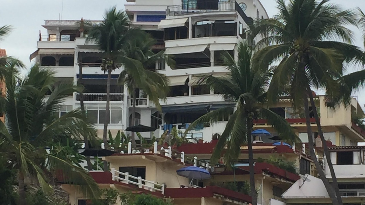 Photo of Others in Playa la Madera