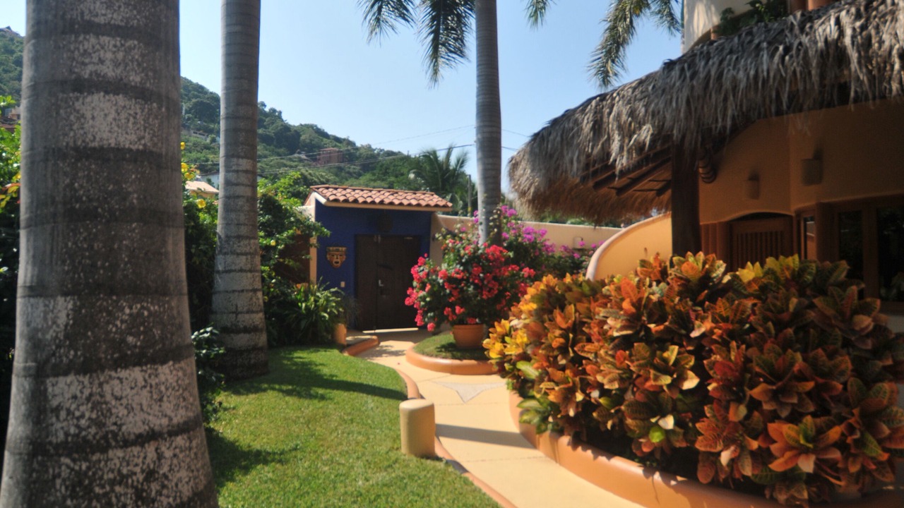 Photo of Outdoor in Playa Las Gatas