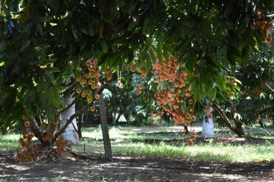 Photo of Outdoor in Vega de Alatorre