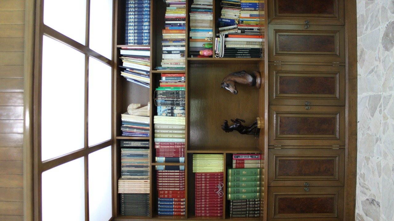 Photo of Others in Guadalajara