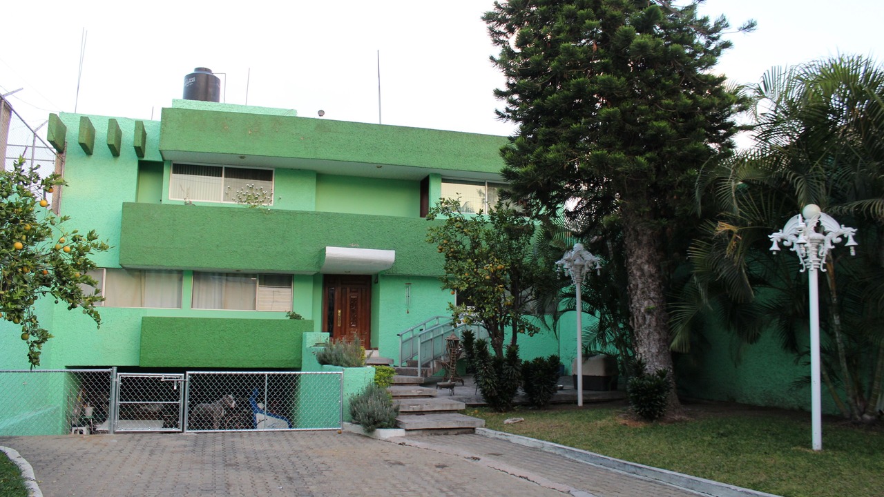Photo of Others in Guadalajara