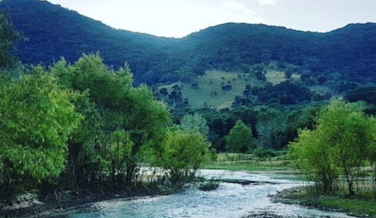 Photo of Others in Tanchachin