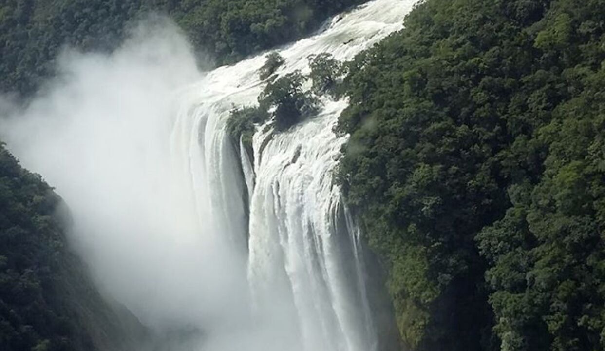 Photo of Outdoor in Tanchachin