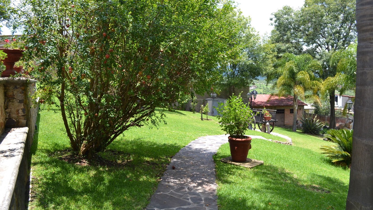 Photo of Outdoor in Valle de Juarez
