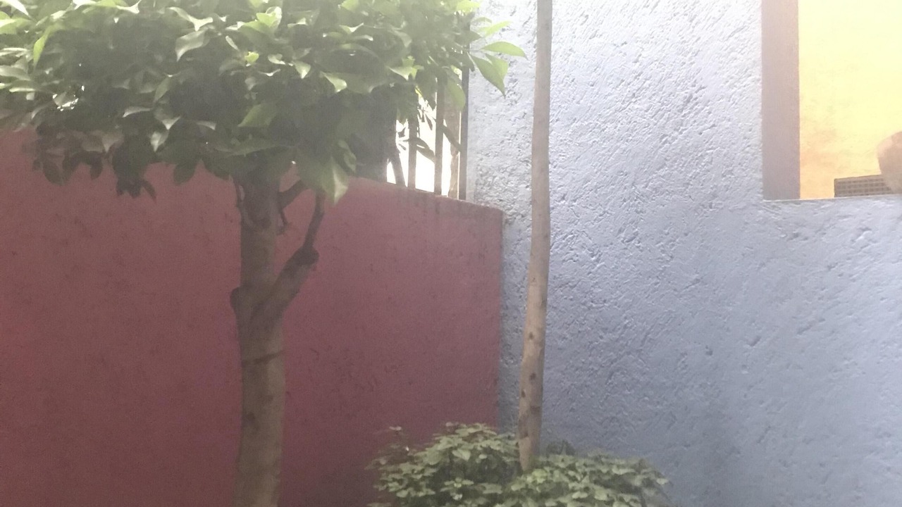 Photo of Outdoor in Polanco