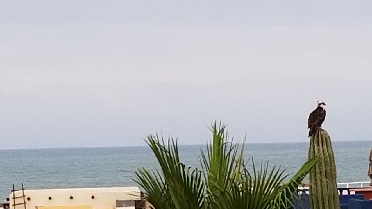 Photo of Outdoor in San Felipe