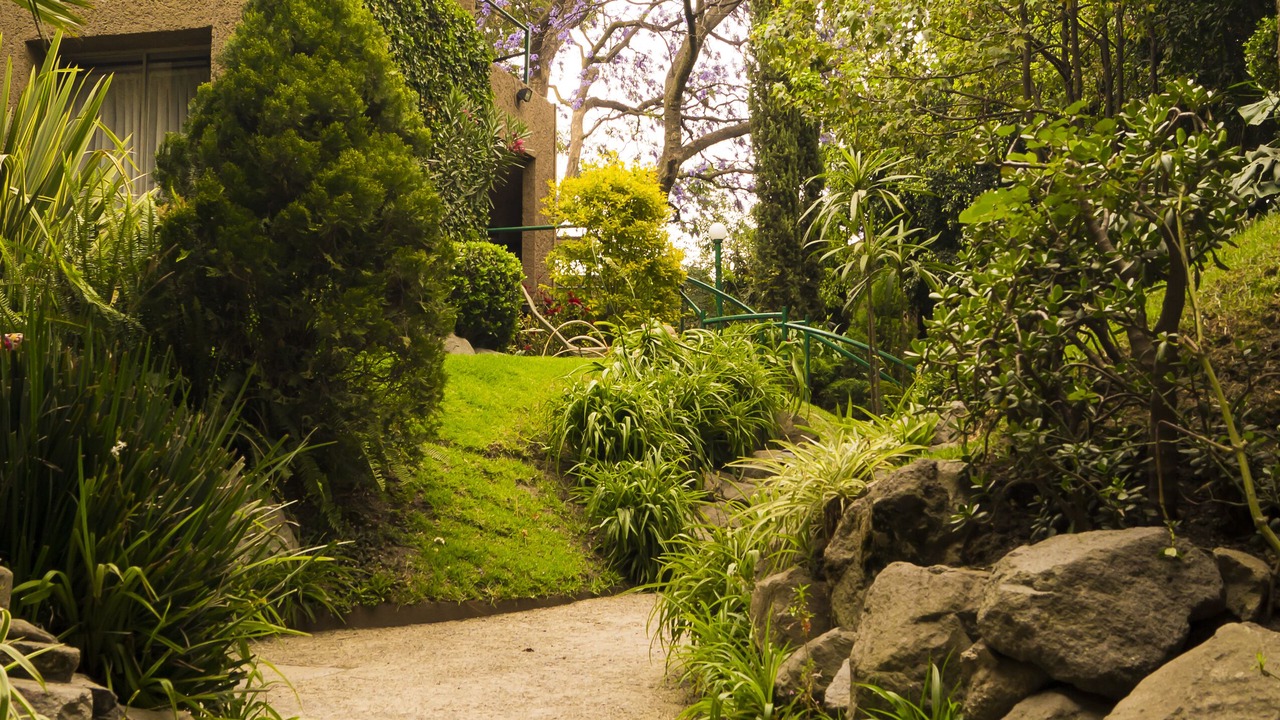 Photo of Outdoor in Coyoacan