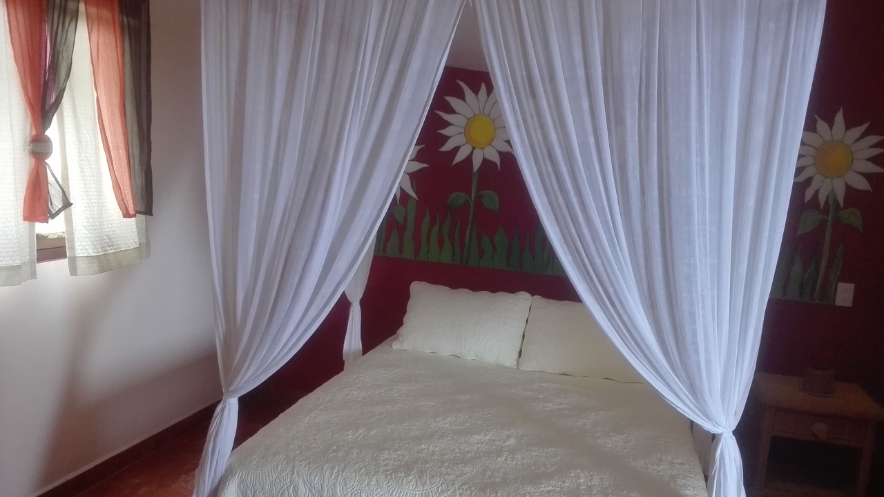 Photo of Bedroom in Cabo Corrientes