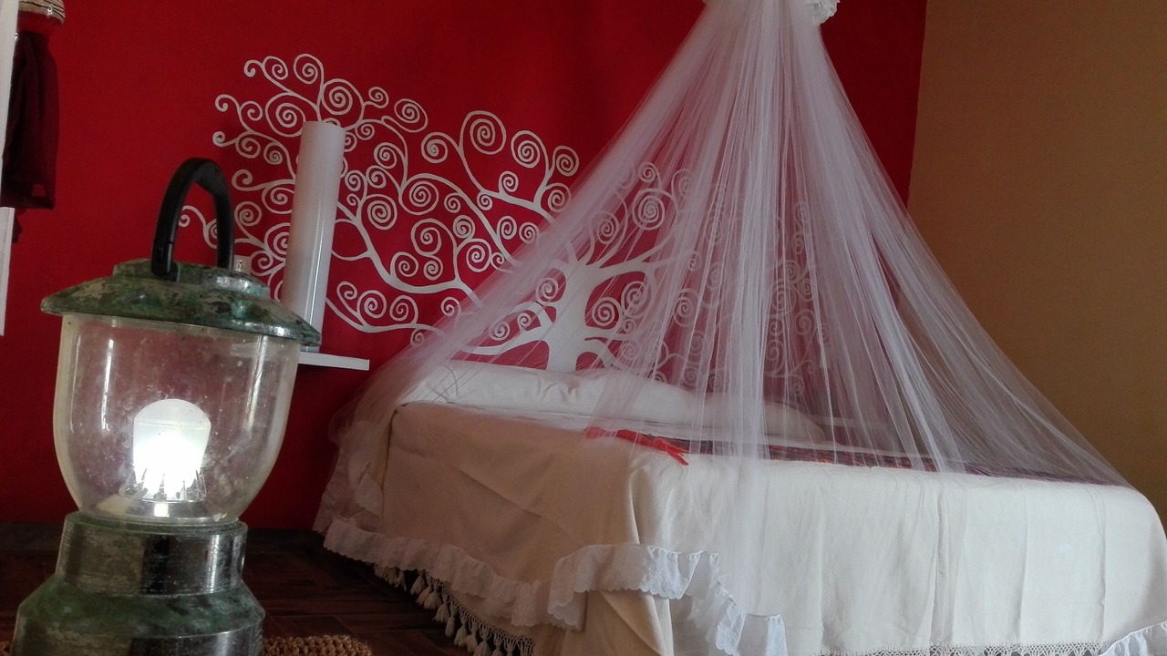 Photo of Bedroom in Cabo Corrientes