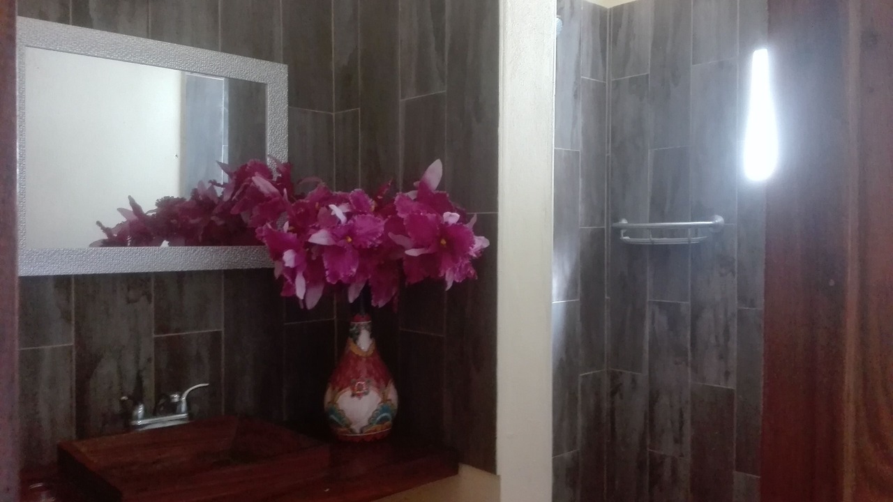 Photo of Bathroom in Cabo Corrientes