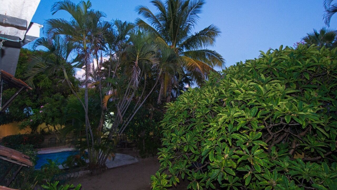 Photo of Outdoor in Manzanillo