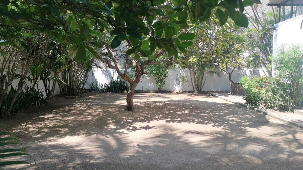 Photo of Outdoor in Manzanillo