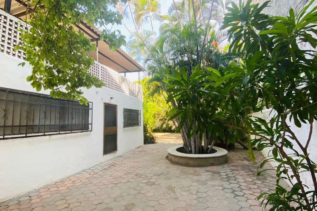 Photo of Outdoor in Manzanillo