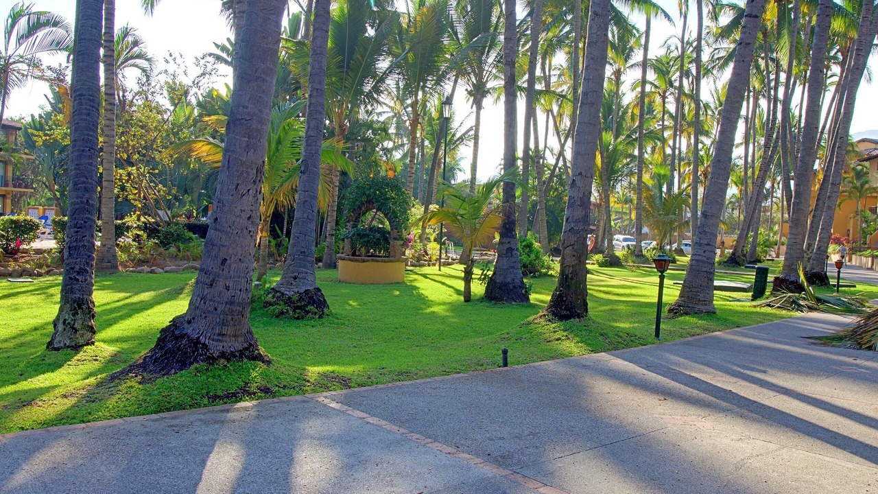 Photo of Outdoor in South Hotel Zone