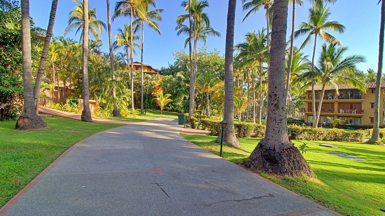 Photo of Outdoor in South Hotel Zone
