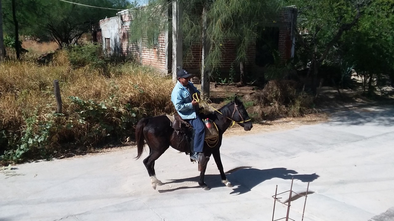 Photo of Others in Alamos
