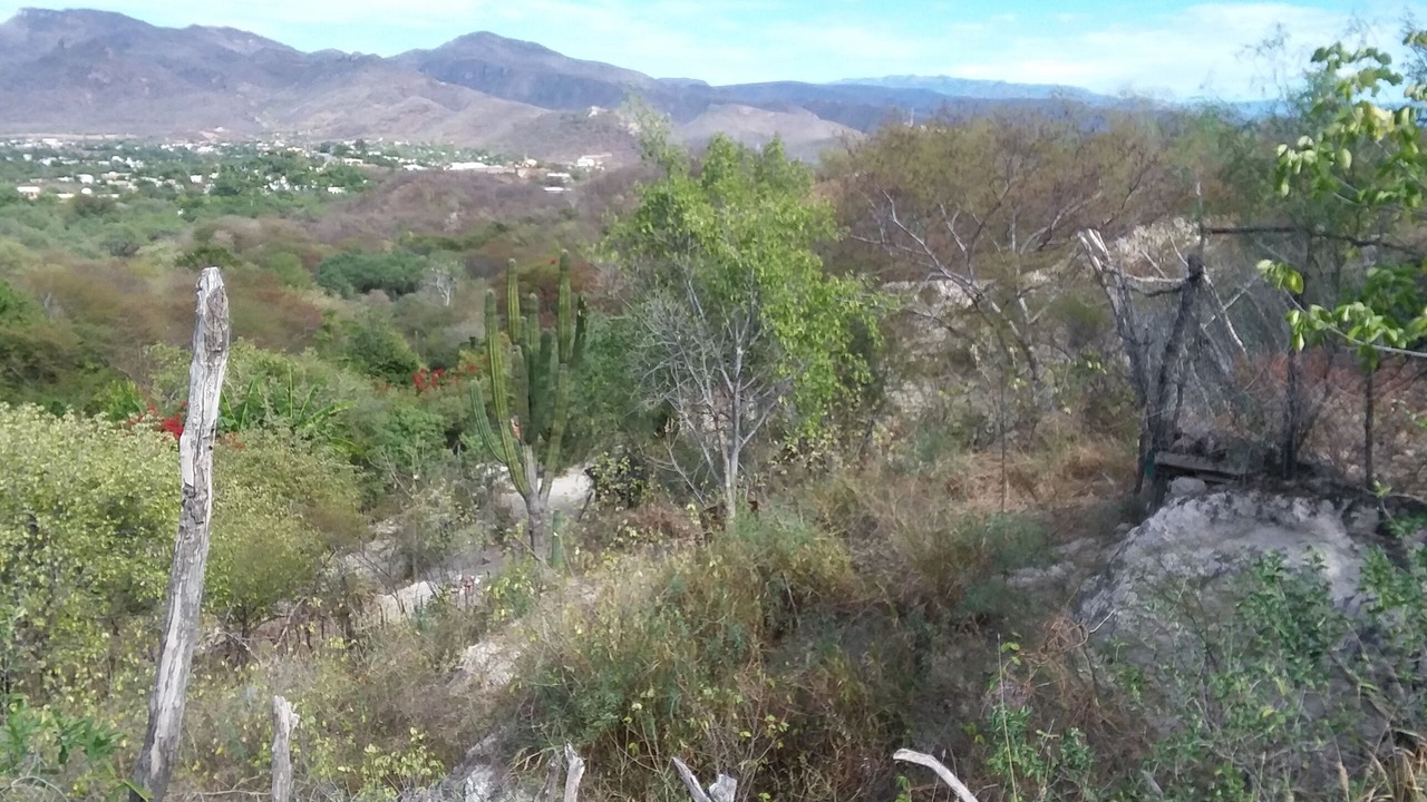 Photo of Outdoor in Alamos