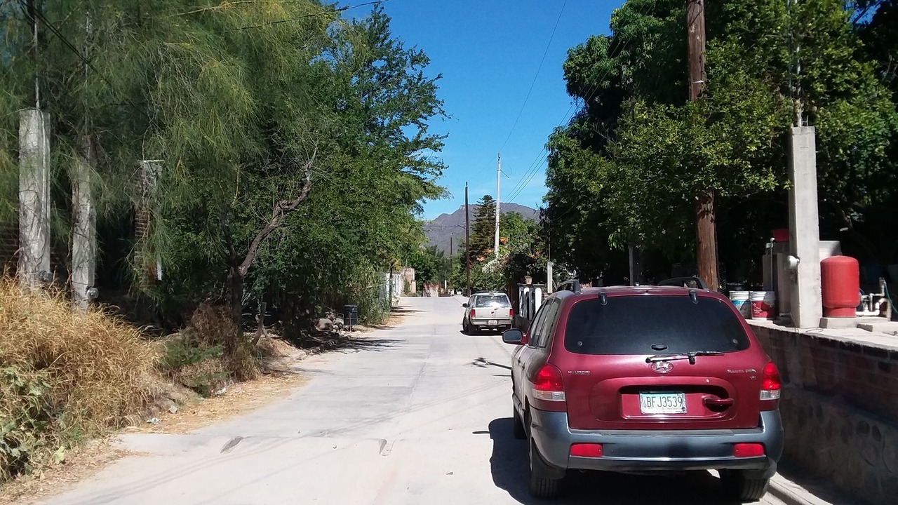 Photo of Outdoor in Alamos