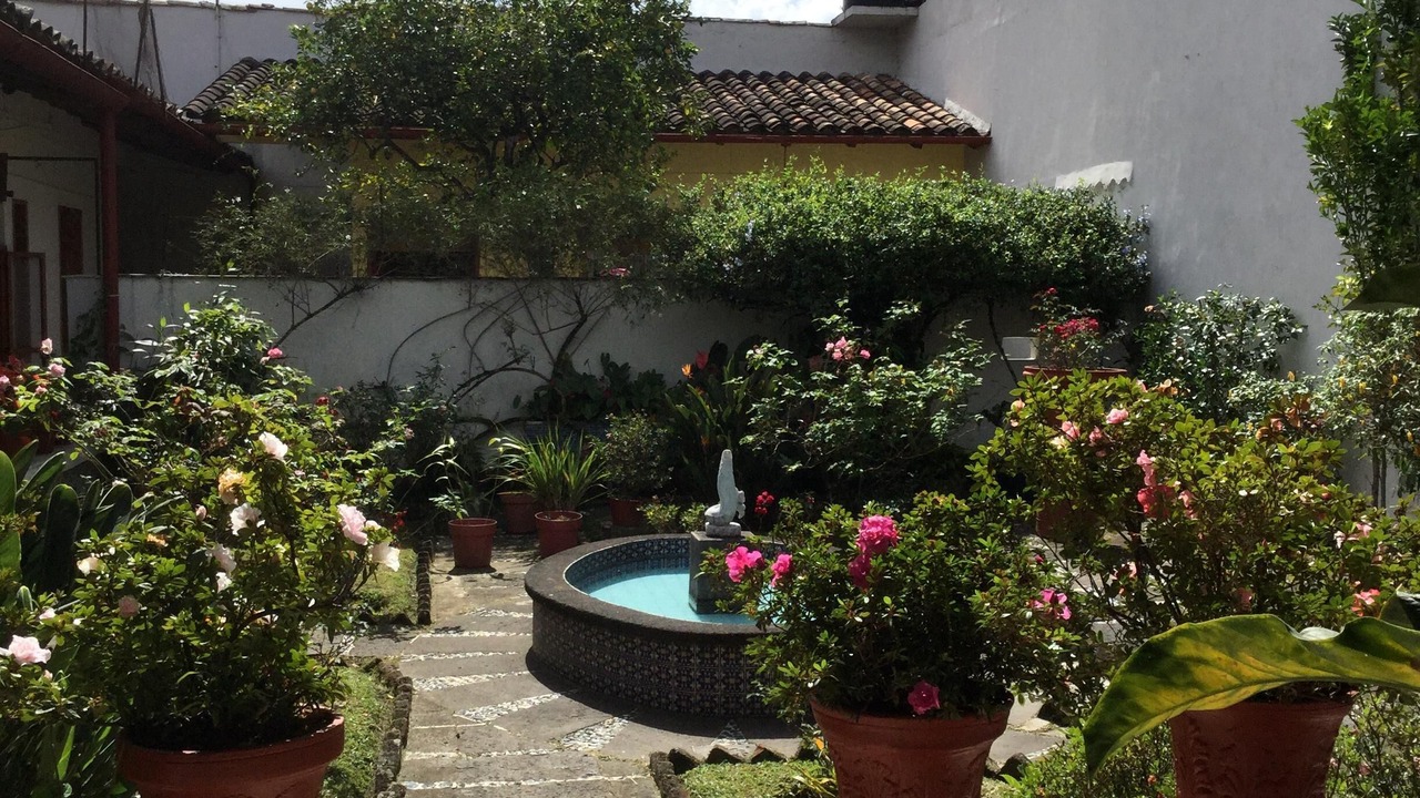 Photo of Outdoor in Coatepec