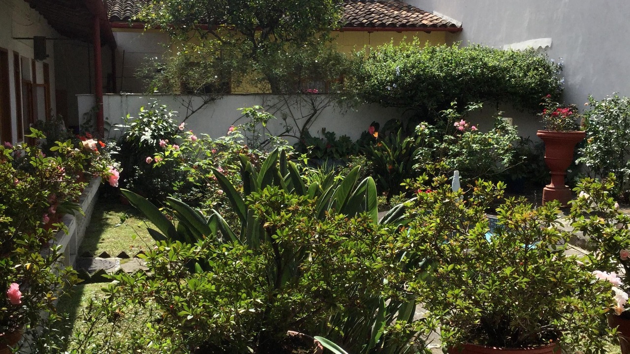 Photo of Outdoor in Coatepec