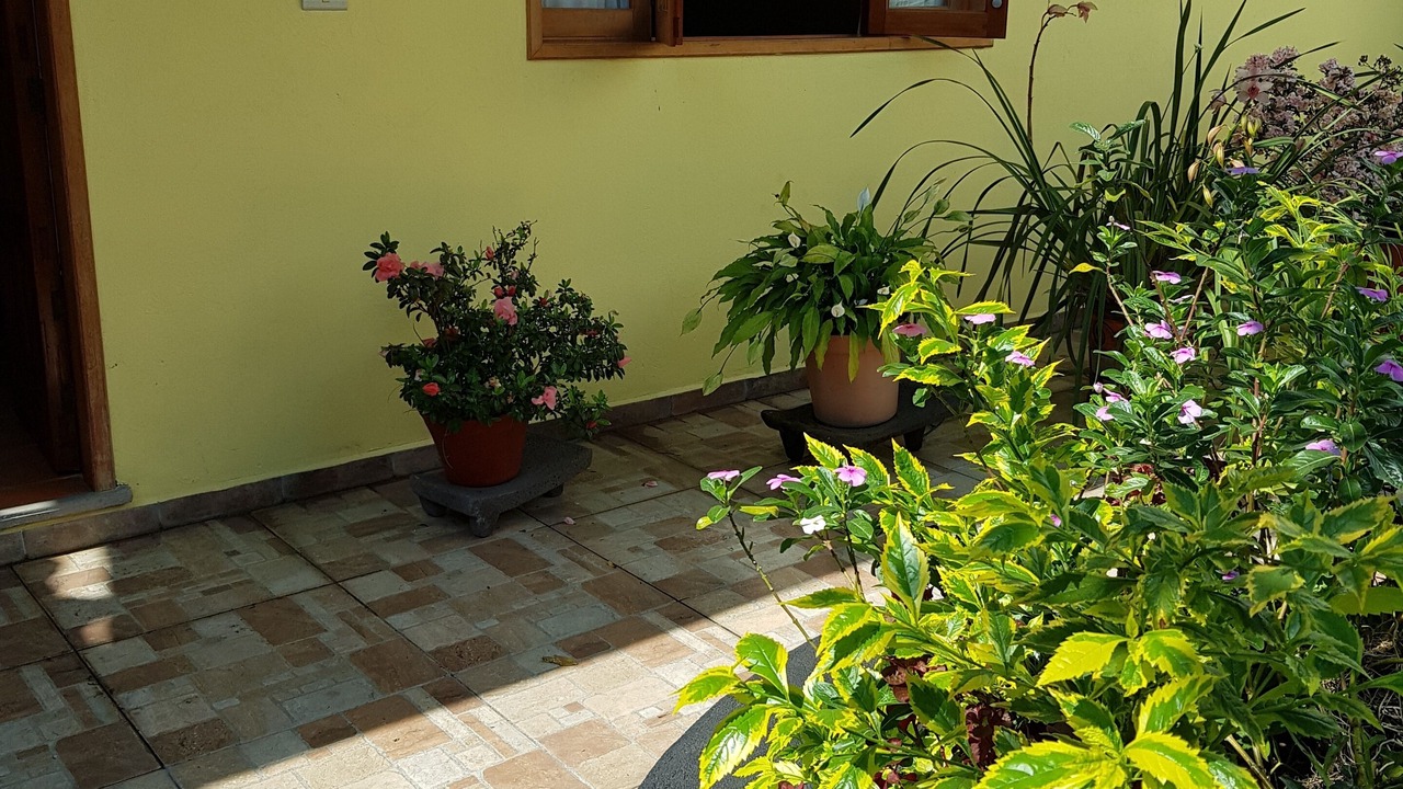 Photo of Outdoor in Coatepec