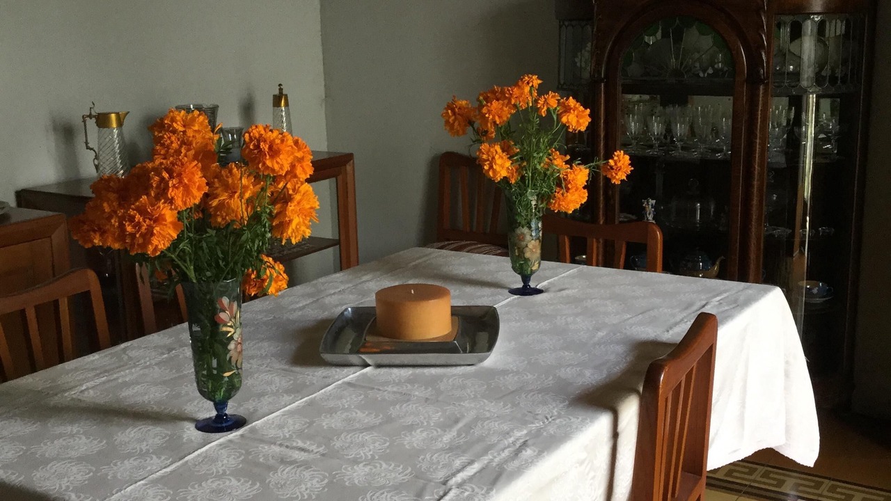 Photo of Bedroom in Coatepec