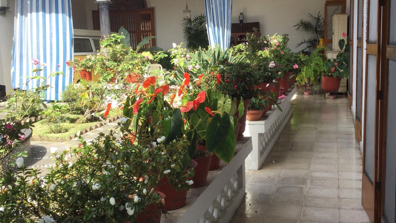 Photo of Outdoor in Coatepec