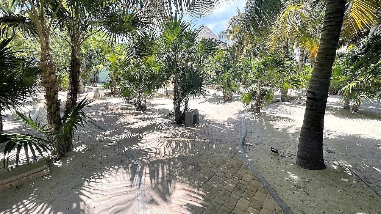 Photo of Outdoor in Progreso Municipality