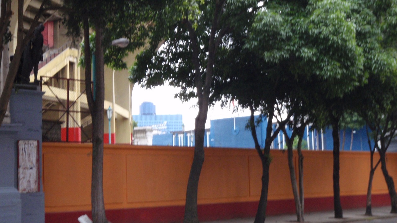 Photo of Outdoor in Ciudad de Los Deportes
