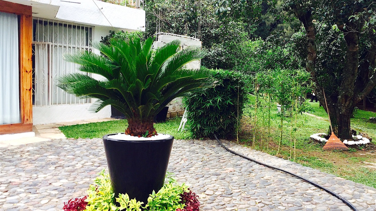 Photo of Outdoor in Tepoztlan