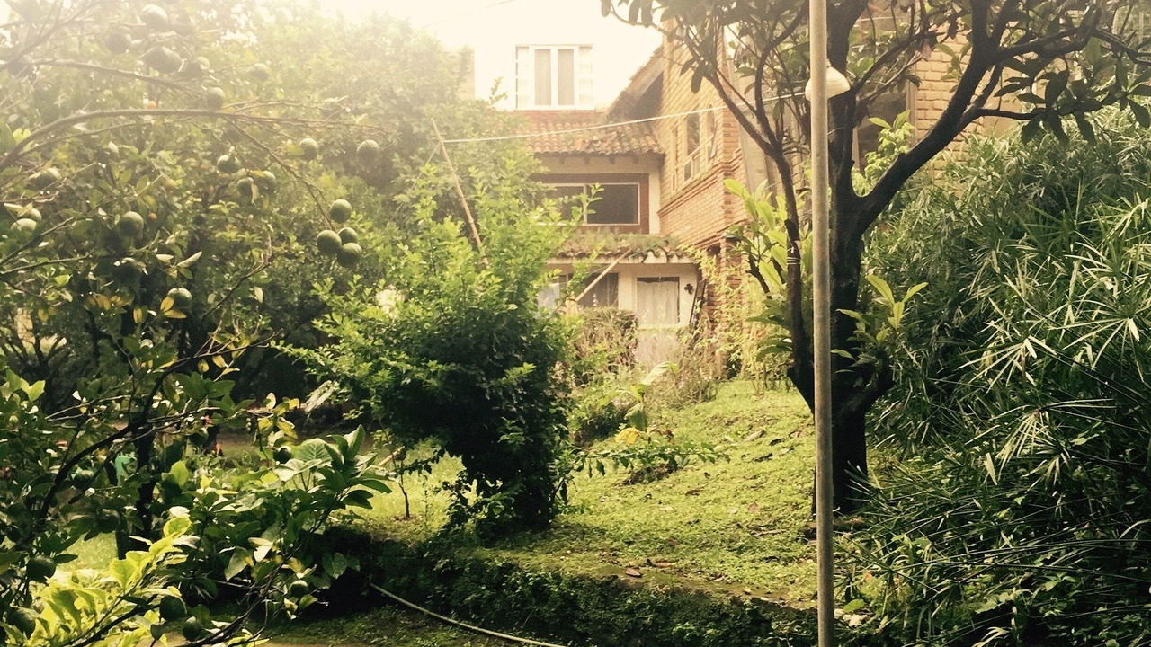 Photo of Outdoor in Tepoztlan