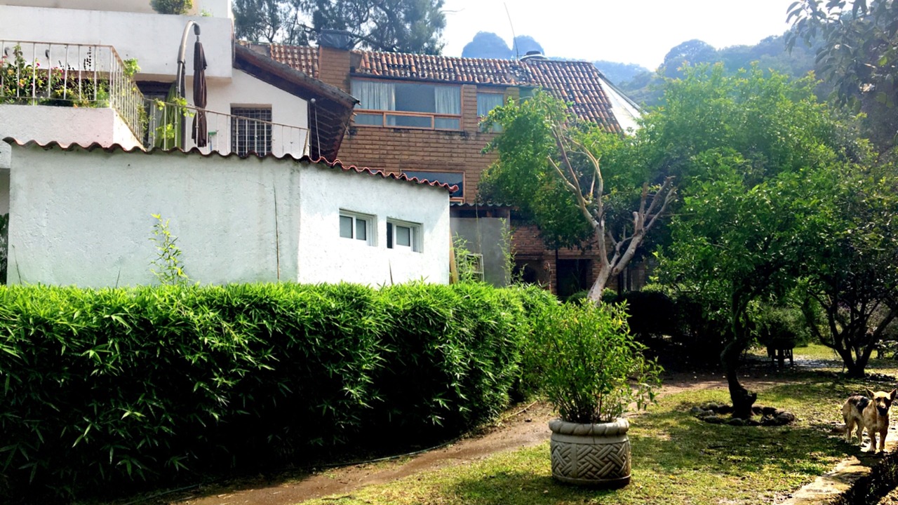 Photo of Outdoor in Tepoztlan