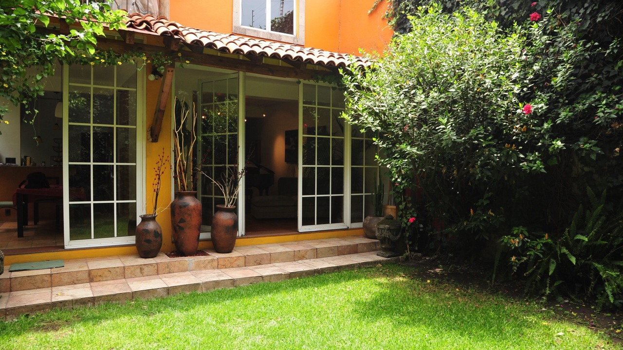 Photo of Outdoor in Colonia Cuauhtemoc