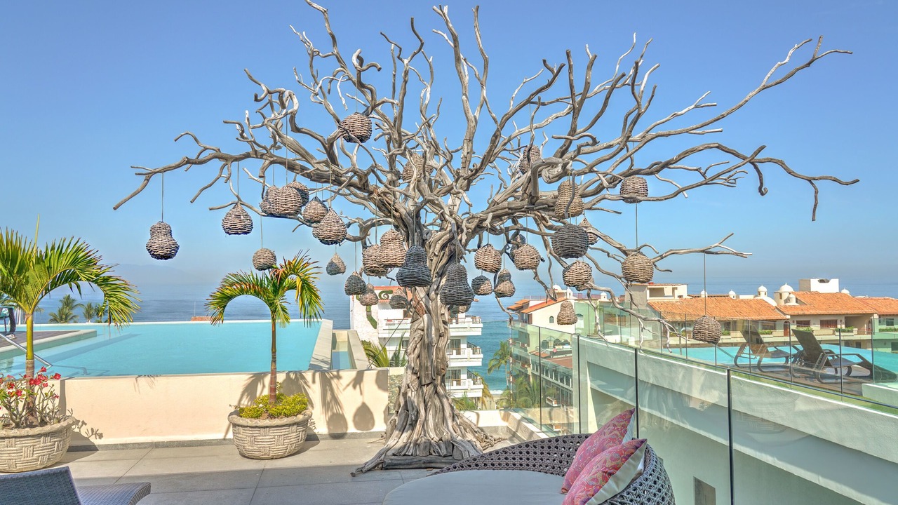 Photo of Outdoor in Romantic Zone
